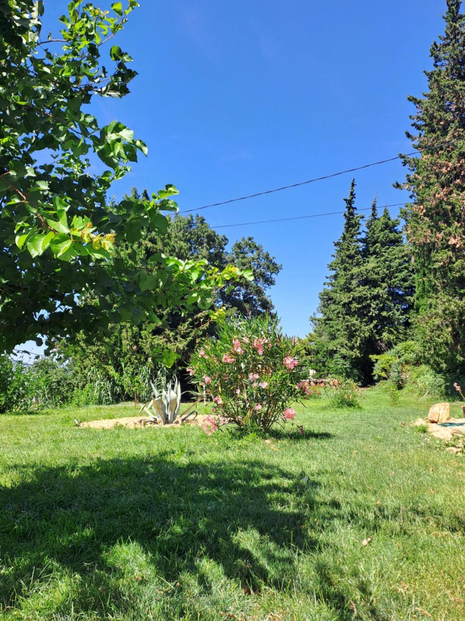 Le Gite Tilia Sablet Dış mekan fotoğraf