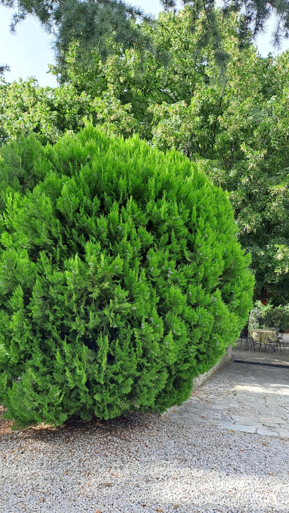 Le Gite Tilia Sablet Dış mekan fotoğraf